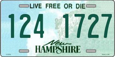 NH license plate 1241727