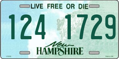 NH license plate 1241729