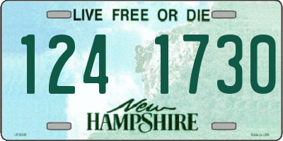 NH license plate 1241730