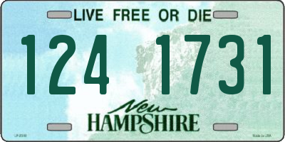 NH license plate 1241731