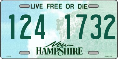 NH license plate 1241732
