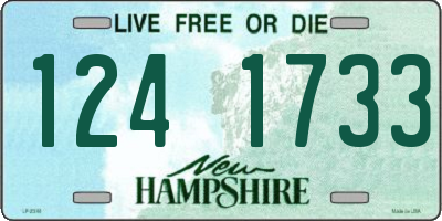 NH license plate 1241733