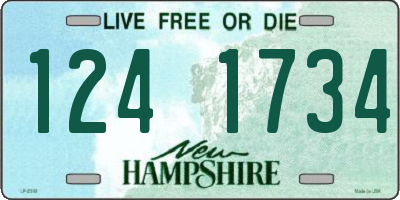 NH license plate 1241734