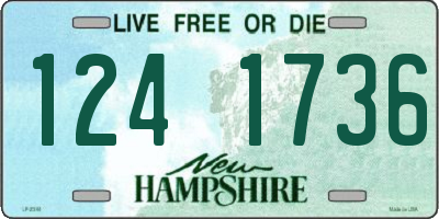 NH license plate 1241736