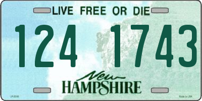 NH license plate 1241743
