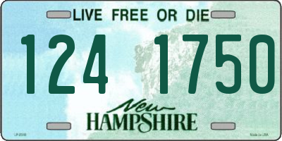 NH license plate 1241750