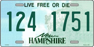 NH license plate 1241751