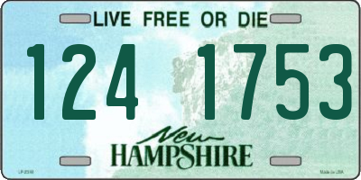 NH license plate 1241753