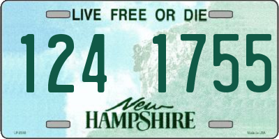 NH license plate 1241755