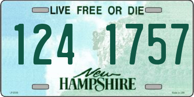 NH license plate 1241757