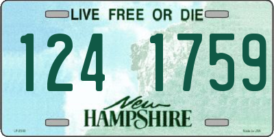 NH license plate 1241759