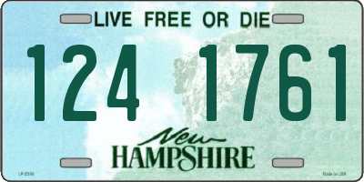 NH license plate 1241761