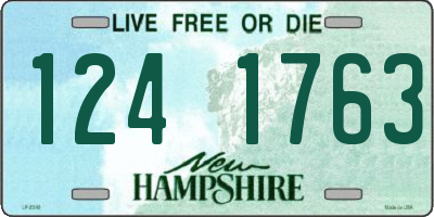 NH license plate 1241763