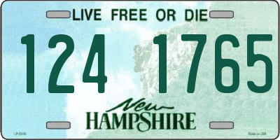NH license plate 1241765