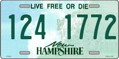 NH license plate 1241772