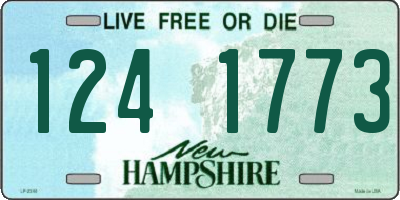 NH license plate 1241773