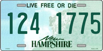 NH license plate 1241775