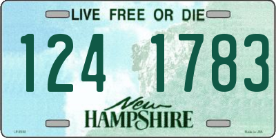 NH license plate 1241783
