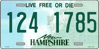 NH license plate 1241785