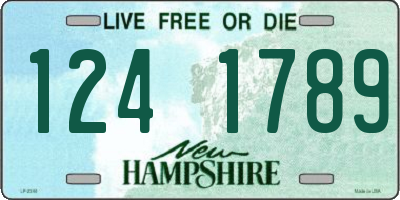 NH license plate 1241789