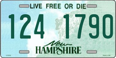 NH license plate 1241790