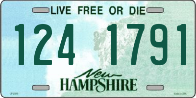 NH license plate 1241791