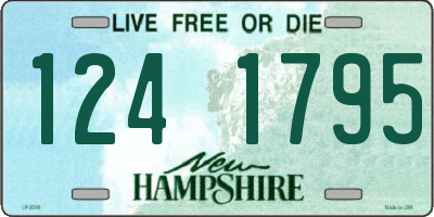 NH license plate 1241795