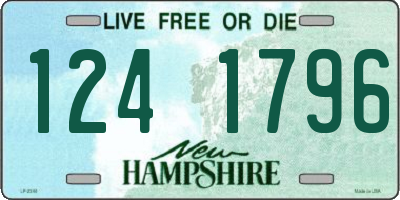 NH license plate 1241796