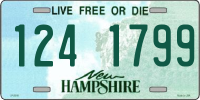 NH license plate 1241799