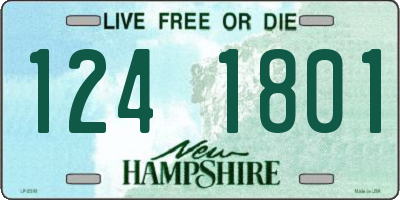 NH license plate 1241801