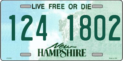 NH license plate 1241802