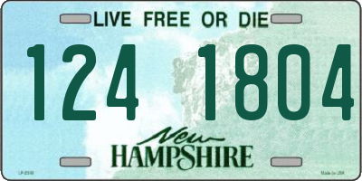 NH license plate 1241804