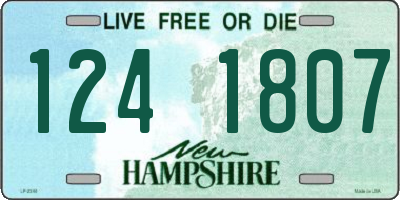 NH license plate 1241807