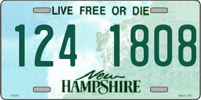 NH license plate 1241808