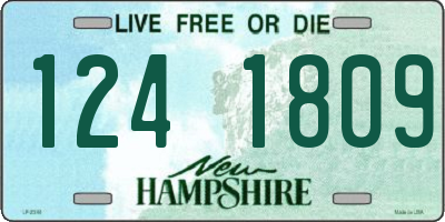 NH license plate 1241809