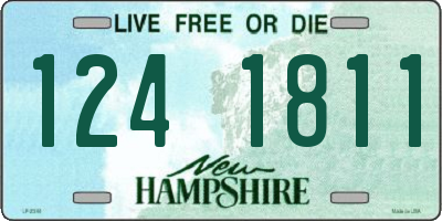 NH license plate 1241811