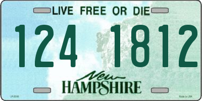 NH license plate 1241812