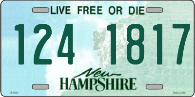 NH license plate 1241817