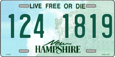 NH license plate 1241819