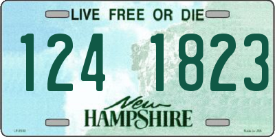 NH license plate 1241823