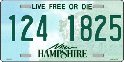 NH license plate 1241825