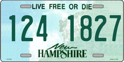 NH license plate 1241827