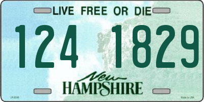 NH license plate 1241829