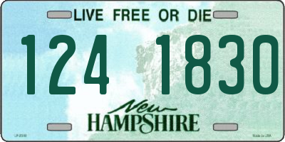 NH license plate 1241830