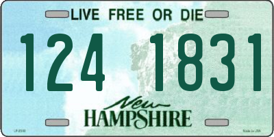 NH license plate 1241831