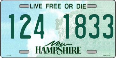 NH license plate 1241833