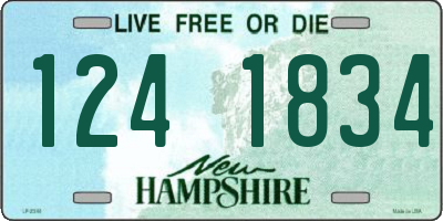 NH license plate 1241834