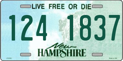 NH license plate 1241837