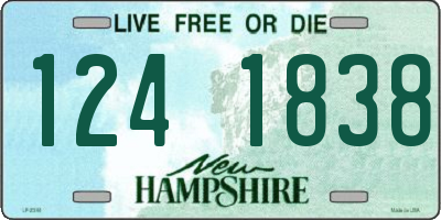 NH license plate 1241838