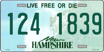 NH license plate 1241839